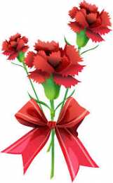 Открытки с гвоздиками  Открытки с гвоздиками скачать. Открытки с гвоздиками онлайн.