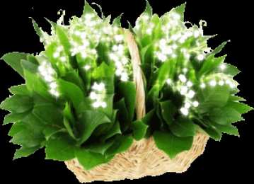 Открытки с ландышами  Открытки с ландышами скачать. Открытки с ландышами онлайн бесплатно.