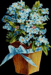 Открытки с незабудками  Открытки с незабудками бесплатно. Открытки с незабудками анимационные.