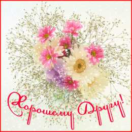 Открытки о дружбе Бесплатные Открытки о дружбе скачать. Открытки о дружбе с анимациями.