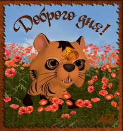 Открытки с тиграми Красивые открытки с тиграми. Скачать бесплатно открытки с тиграми.