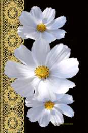 Открытки с космеями  Открытки с космеями анимационные. Открытки с космеями gif.  