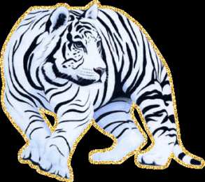 Открытки с белым тигром Открытки с белым тигром скачать. Открытки с белым тигром бесплатно.