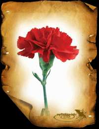 Открытки с гвоздиками  Открытки с гвоздиками скачать. Открытки с гвоздиками онлайн.