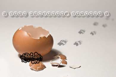 Открытки с днём яйца Открытки с днём яйца скачать бесплатно. Прикольные Открытки с днём яйца.