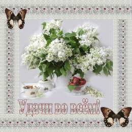 Открытки с белой сиренью  Открытки с белой сиренью анимационные. Открытки с белой сиренью gif.