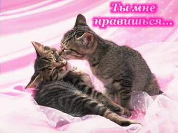 Открытки ты мне нравишься Красивые Открытки ты мне нравишься с признаниями скачать бесплатно.