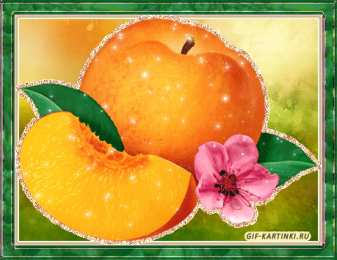 Открытки с фруктами Открытки с фруктами скачать бесплатно. Открытки с фруктами онлайн.