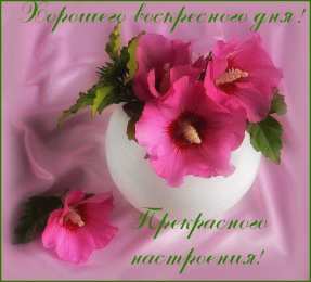 Открытки на воскресенье  Открытки на воскресенье скачать. Открытки на воскресенье бесплатно.