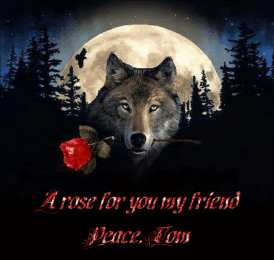 Открытки с волками Анимационные открытки с волками. Скачать открытки с волками gif.