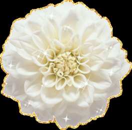 Открытки с георгинами  Открытки с георгинами скачать бесплатно. Открытки с георгинами онлайн.