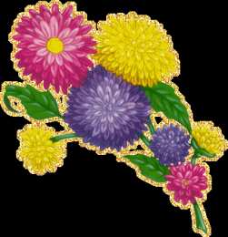 Открытки с астрами  Открытки с астрами скачать бесплатно. Открытки с астрами онлайн.