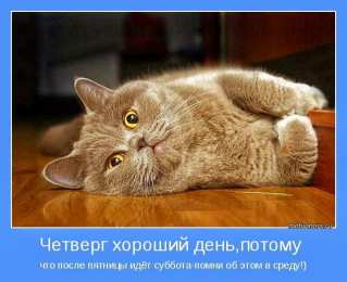 Открытки на четверг Привет четверг. Открытки с приколами и пожеланиями на четверг