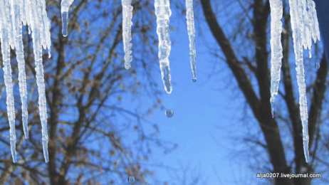 Открытки с сосульками Открытки с сосульками скачать бесплатно. Открытки с сосульками gif.