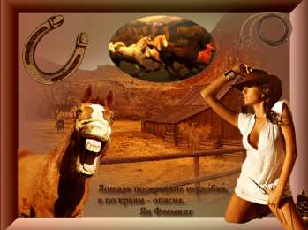 Открытки с лошадьми Открытки с лошадьми gif. Скачать бесплатно открытки с лошадьми.