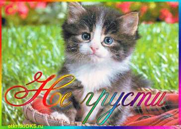 Открытки не грусти Открытки не грусти с пожеланиями скачать. Бесплатные Открытки не грусти.