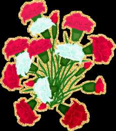 Открытки с гвоздиками  Открытки с гвоздиками скачать. Открытки с гвоздиками онлайн.