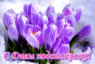 Открытки с днём подснежника Открытки с днём подснежника gif. Открытки с днём подснежника скачать.