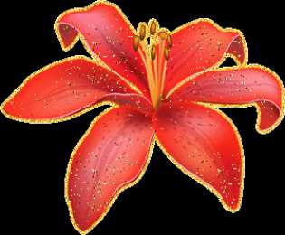 Открытки с лилейниками  Открытки с лилейниками анимационные. Открытки с лилейниками gif.