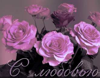 Открытки с розовыми розами Чудесные открытки с розовыми розами скачать бесплатно gif.