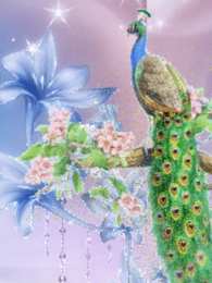 Открытки с павлинами Открытки с павлинами скачать бесплатно. Открытки с павлинами gif.