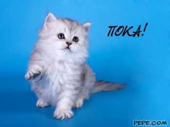 Открытки с прощанием Открытки с прощанием с текстом пока пока