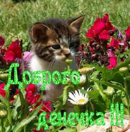 Открытки на вторник Открытки на вторник скачать. Открытки на вторник бесплатно онлайн.