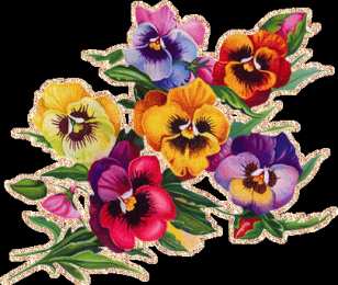 Открытки с разноцветными анютиными глазками  Открытки с разноцветными анютиными глазками скачать бесплатно.