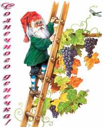 Открытки с гномами Открытки с гномами скачать бесплатно. Открытки с гномами gif.