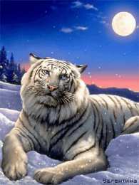 Открытки с белым тигром Открытки с белым тигром скачать. Открытки с белым тигром бесплатно.