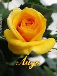 Открытки с именем Лидия Открытки с именем Лидия скачать бесплатно. Открытки с именем Лидия gif.