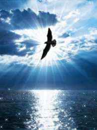 Открытки с орлом Открытки с орлом скачать бесплатно. Открытки с орлом онлайн.