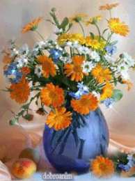 Открытки с календулой  Открытки с календулой скачать бесплатно. Открытки с календулой онлайн.