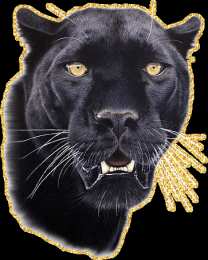 Открытки с пантерой Открытки с пантерой скачать бесплатно. Открытки с пантерой gif.