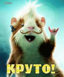 Открытки с хомяками Скачать бесплатно открытки с хомяками. Открытки с хомяками gif.