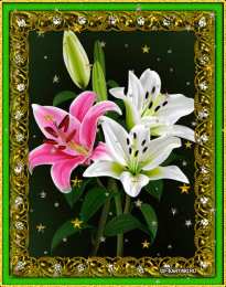 Открытки с лилейниками  Открытки с лилейниками анимационные. Открытки с лилейниками gif.