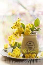 Открытки с мимозой  Открытки с мимозой скачать бесплатно. Открытки с мимозой онлайн.