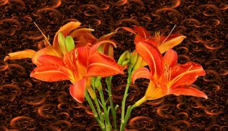 Открытки с лилейниками  Открытки с лилейниками анимационные. Открытки с лилейниками gif.