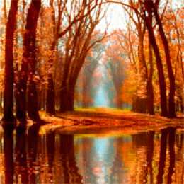 Открытки с осенним лесом Открытки с осенним лесом скачать. Открытки с осенним лесом бесплатно.