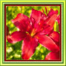 Открытки с лилейниками  Открытки с лилейниками анимационные. Открытки с лилейниками gif.