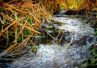 Открытки с ручьями  Открытки с ручьями с анимациями. Красивые открытки с ручьями.