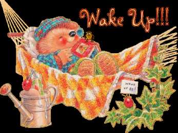 Открытки с ёжиками Скачать бесплатно открытки с ёжиками. Открытки с ёжиками gif.