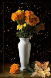 Открытки с бархатцами  Открытки с бархатцами онлайн бесплатно. Открытки с бархатцами скачать.