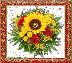 Открытки с подсолнухами Открытки с подсолнухами скачать бесплатно. Открытки с подсолнухами gif.