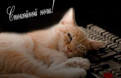 Открытки спокойной ночи Скачать бесплатно открытки спокойной ночи. открытки сладких снов.