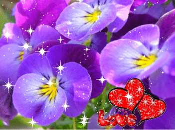 Открытки с фиолетовыми анютиными глазками  Открытки с фиолетовыми анютиными глазками скачать бесплатно.