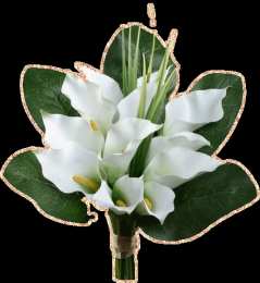 Открытки с каллами Открытки с каллами скачать бесплатно. Открытки с каллами онлайн.