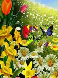 Открытки с цветочными полями  Открытки с цветочными полями с анимациями. Красивые открытки с цветами.