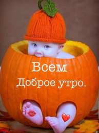 Открытки с добрым утром Открытки поздравления с добрым утром 