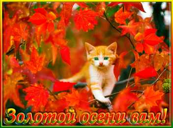 Открытки Золотая осень Открытки Золотая осень скачать бесплатно. Открытки Золотая осень gif.